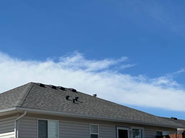 Best Asphalt Shingle Roofing  in Woxall, PA